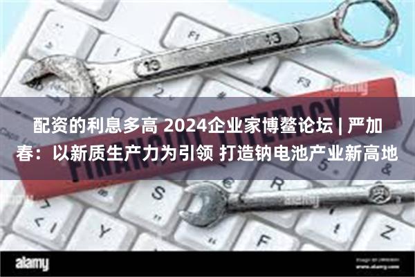 配资的利息多高 2024企业家博鳌论坛 | 严加春：以新质生产力为引领 打造钠电池产业新高地