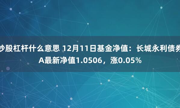 炒股杠杆什么意思 12月11日基金净值：长城永利债券A最新净值1.0506，涨0.05%