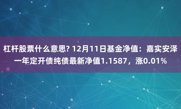 杠杆股票什么意思? 12月11日基金净值：嘉实安泽一年定开债纯债最新净值1.1587，涨0.01%