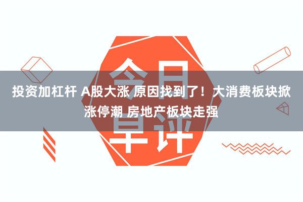 投资加杠杆 A股大涨 原因找到了！大消费板块掀涨停潮 房地产板块走强