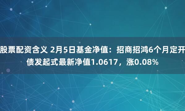 股票配资含义 2月5日基金净值：招商招鸿6个月定开债发起式最新净值1.0617，涨0.08%