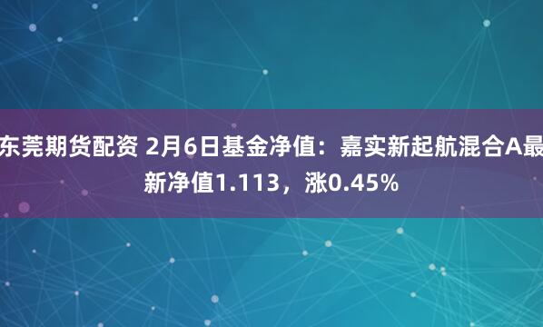 东莞期货配资 2月6日基金净值：嘉实新起航混合A最新净值1.113，涨0.45%