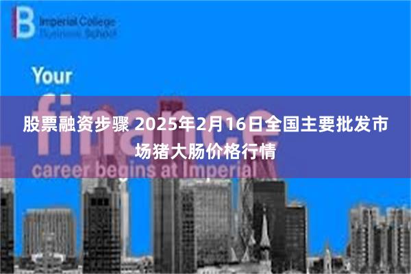 股票融资步骤 2025年2月16日全国主要批发市场猪大肠价格行情