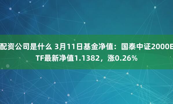 配资公司是什么 3月11日基金净值：国泰中证2000ETF最新净值1.1382，涨0.26%