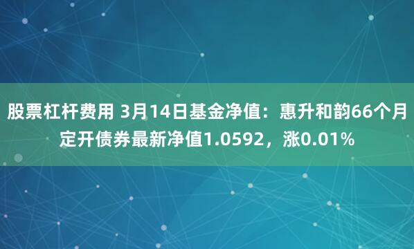 股票杠杆费用 3月14日基金净值：惠升和韵66个月定开债券最新净值1.0592，涨0.01%