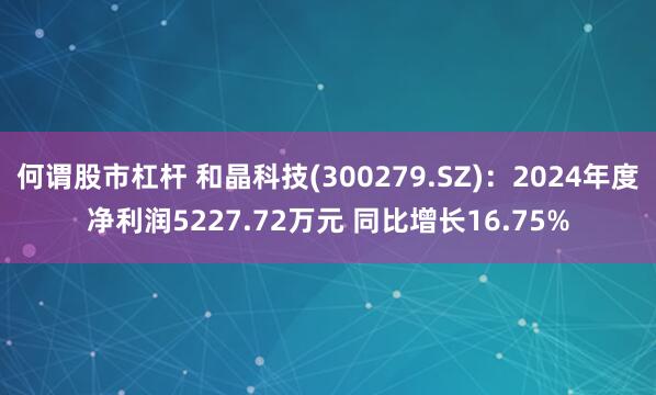 何谓股市杠杆 和晶科技(300279.SZ)：2024年度净